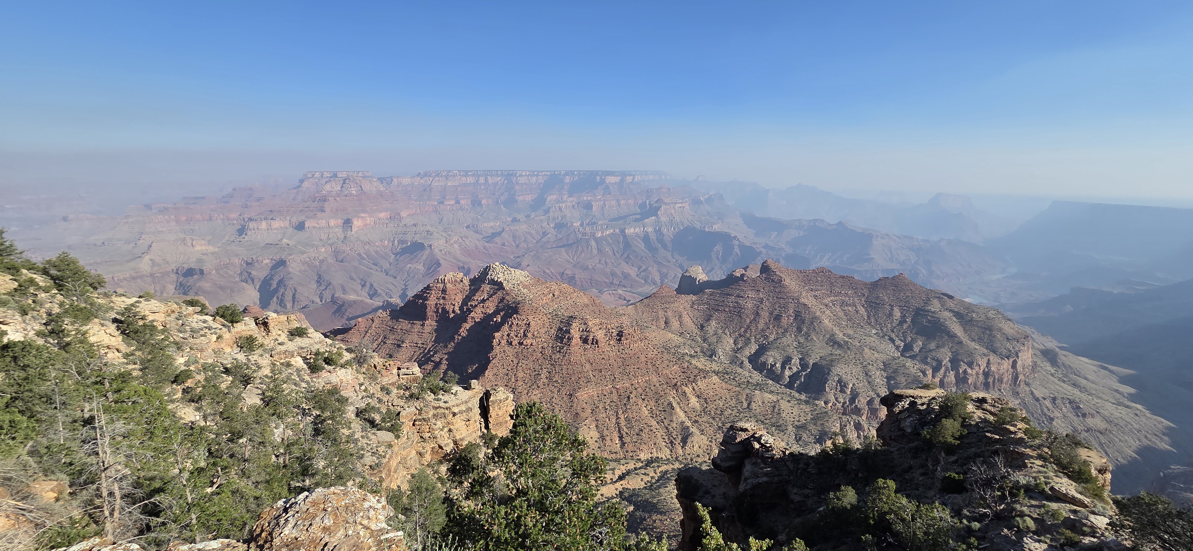 Black Hills Landscape