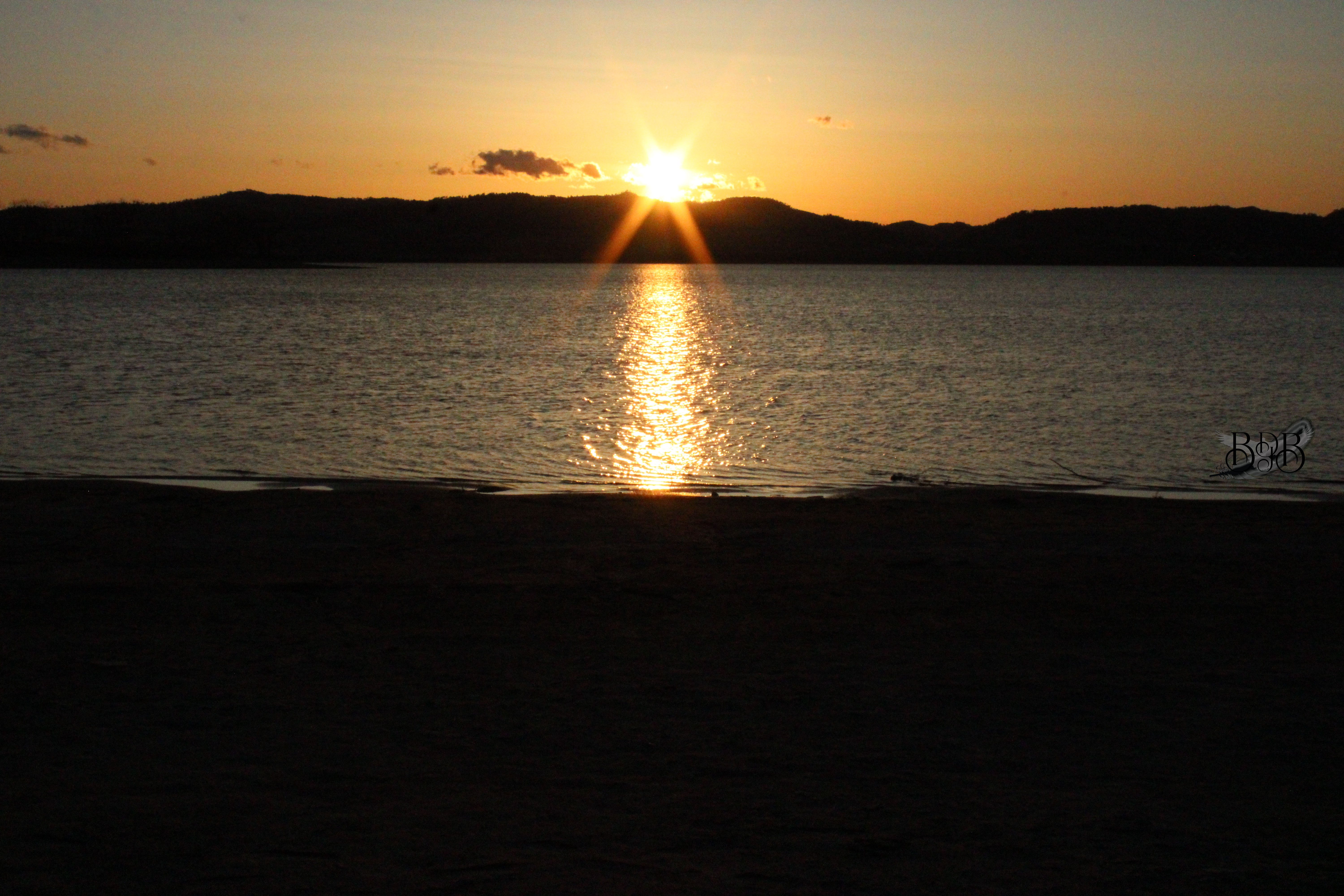 Night Sky Black Hills