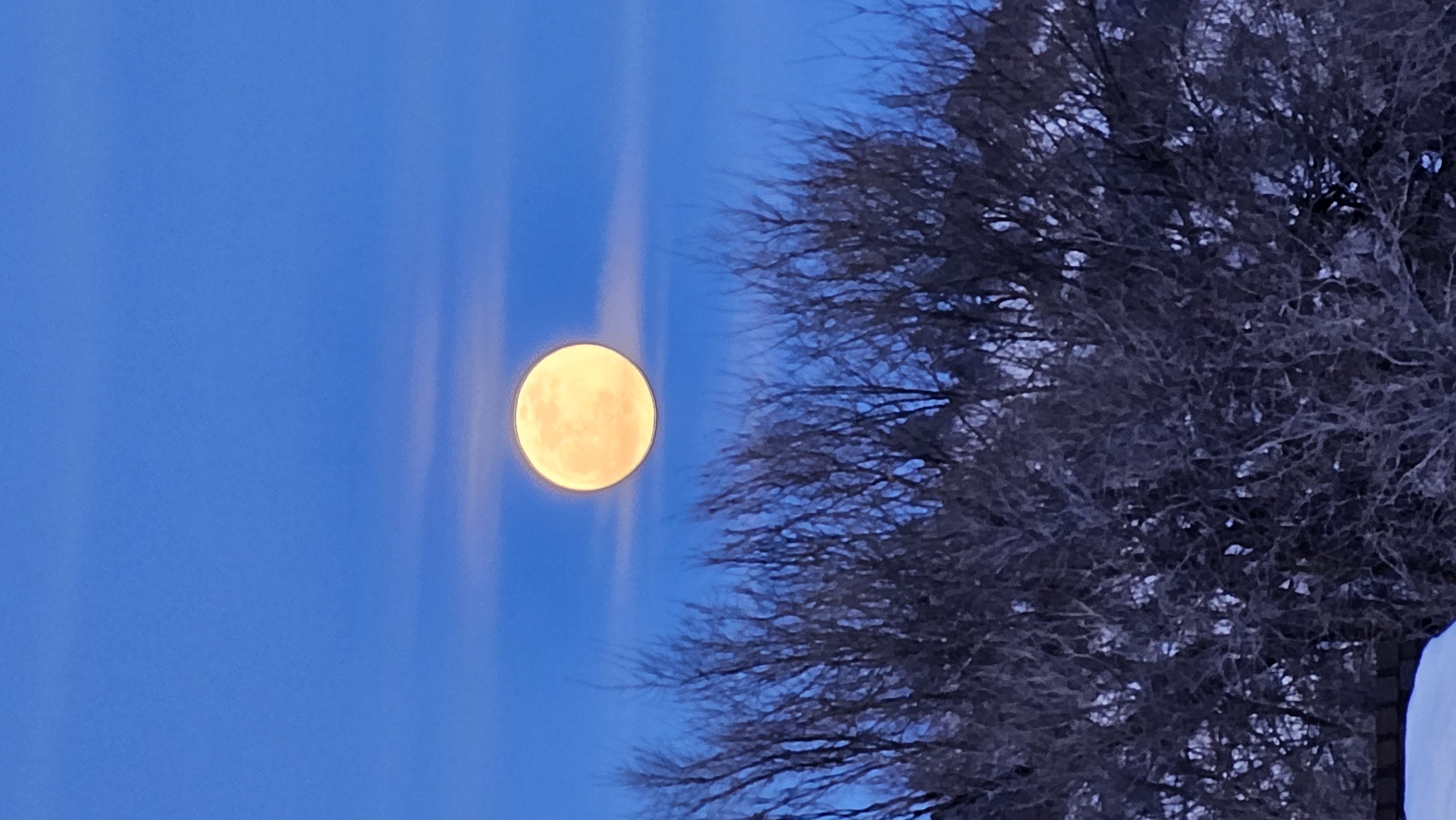 Night Sky Black Hills