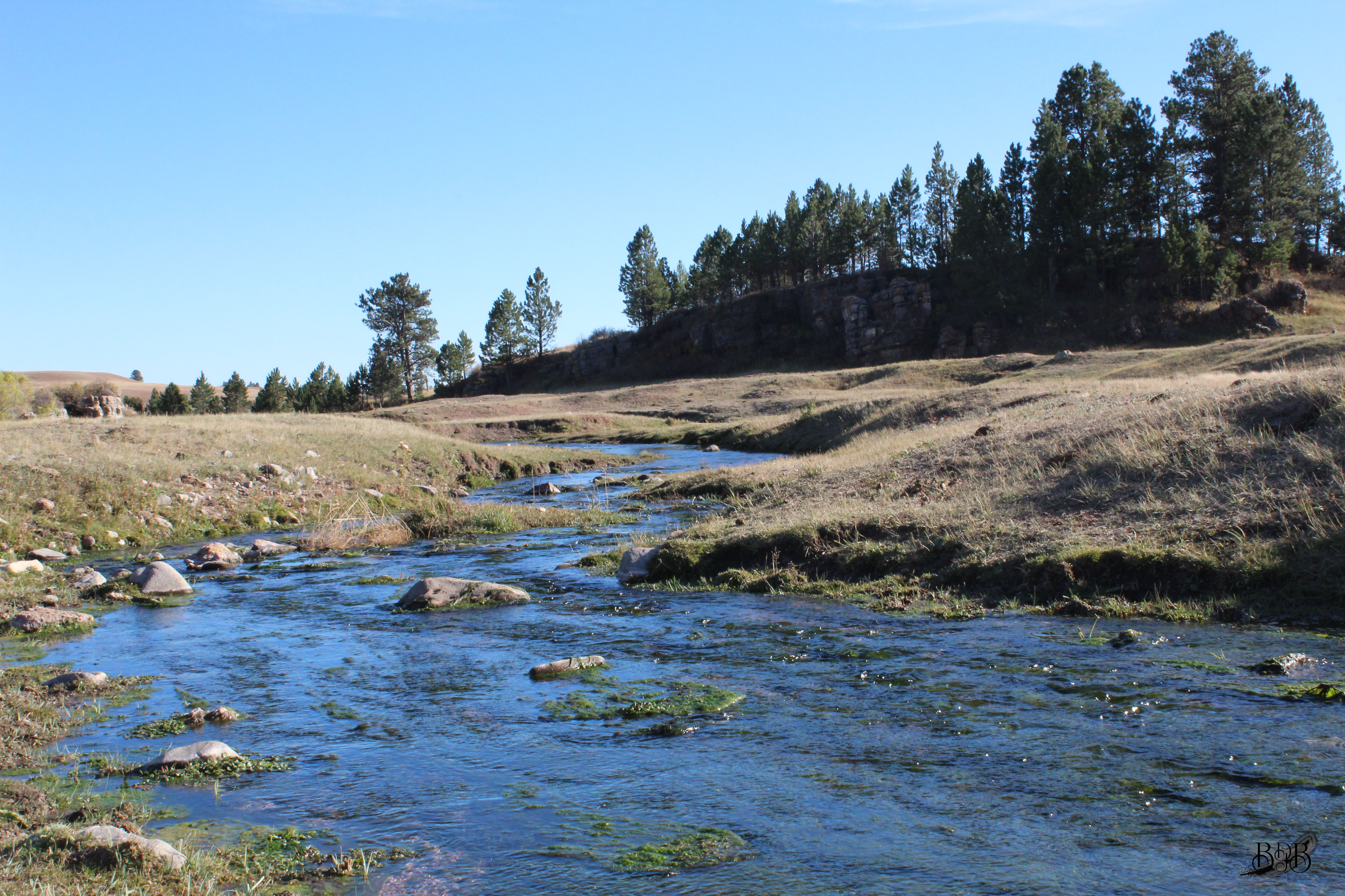 Lakes and Rivers Black Hills